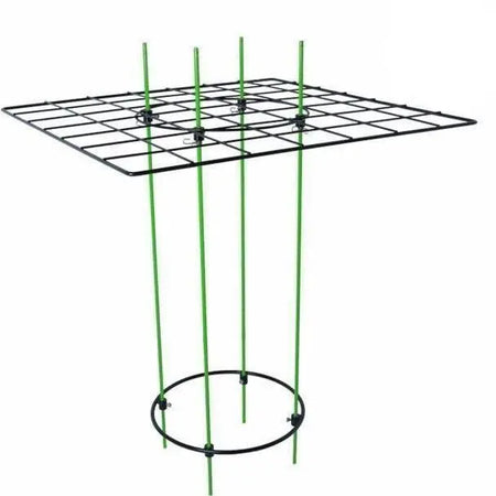 Grow1 Hydroponics SCROG Kit, 19" x 25" Grow1