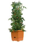 Hydrofarm Tomato Tree Auto-Water Grow Bucket with 3' Trellis Tower