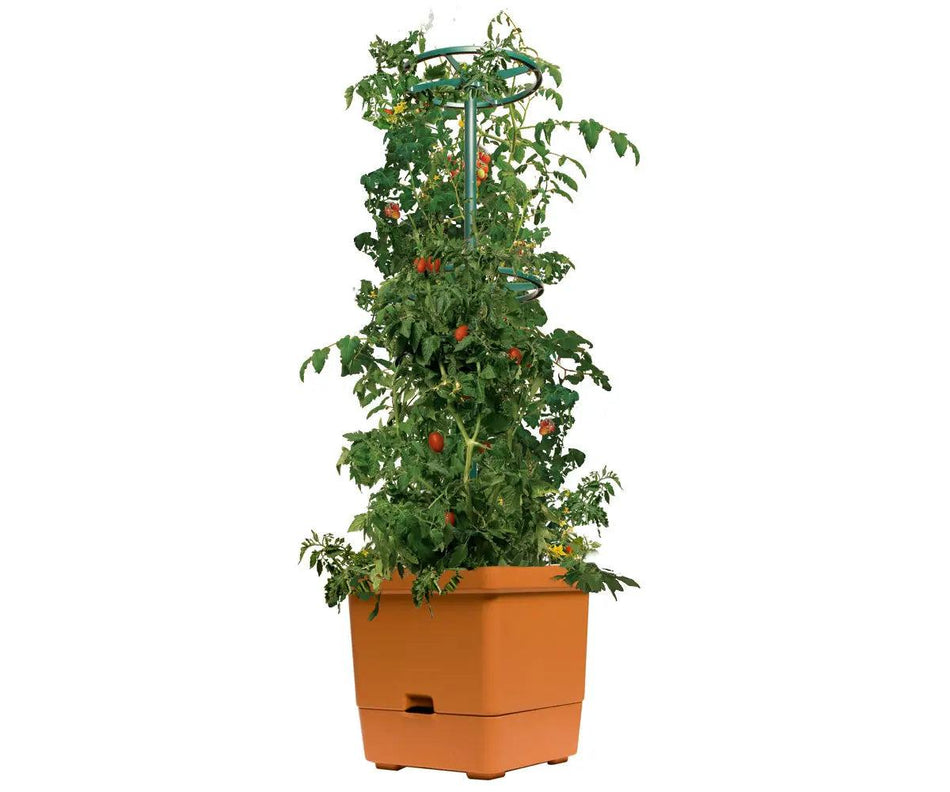 Hydrofarm Tomato Tree Auto-Water Grow Bucket with 3' Trellis Tower