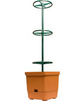 Hydrofarm Tomato Tree Auto-Water Grow Bucket with 3' Trellis Tower