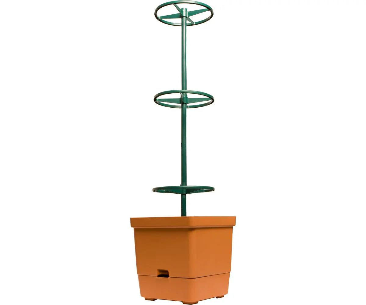 Hydrofarm Tomato Tree Auto-Water Grow Bucket with 3' Trellis Tower