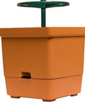 Hydrofarm Tomato Tree Auto-Water Grow Bucket with 3' Trellis Tower