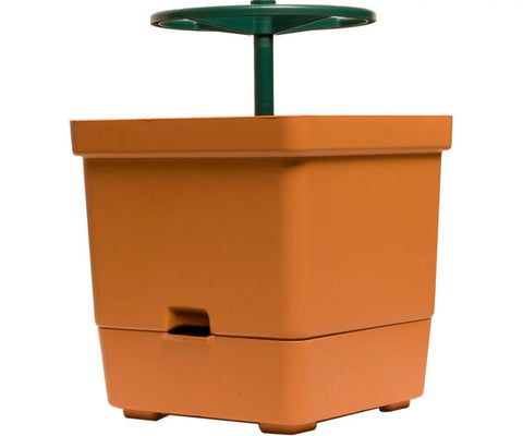 Hydrofarm Tomato Tree Auto-Water Grow Bucket with 3' Trellis Tower