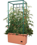 Hydrofarm Tomato Trellis Auto-Water Garden on Wheels Hydrofarm