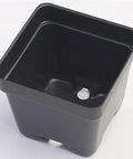 Landmark® Thermoformed Square Pot, 2.63in L x 2.63in W x 2.25in H