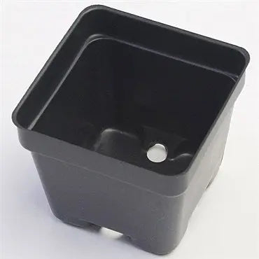 Landmark® Thermoformed Square Pot, 2.63in L x 2.63in W x 2.25in H