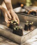 Fiskars® Soil Block Maker Fiskars