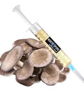 NORTH SPORE Black King Mushroom Liquid Culture Syringe NORTH SPORE