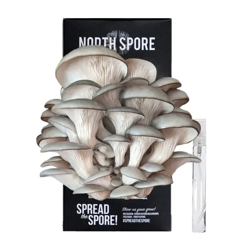 NORTH SPORE Blue Oyster ‘Spray & Grow’ Mushroom Growing Kit NORTH SPORE