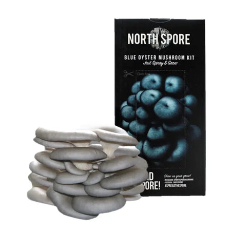 NORTH SPORE Blue Oyster ‘Spray & Grow’ Mushroom Growing Kit NORTH SPORE