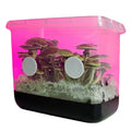 NORTH SPORE Boomr Bag Sterile Manure-Based Mushroom Substrate NORTH SPORE