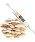 NORTH SPORE Elm Oyster Mushroom Liquid Culture Syringe NORTH SPORE