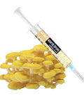 NORTH SPORE Golden Oyster Mushroom Liquid Culture Syringe NORTH SPORE