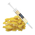 NORTH SPORE Golden Oyster Mushroom Liquid Culture Syringe NORTH SPORE