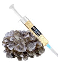 NORTH SPORE Hen of the Woods (Maitake) Liquid Culture Syringe NORTH SPORE