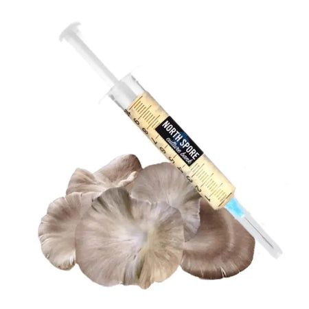 NORTH SPORE Italian Oyster Mushroom Liquid Culture Syringe NORTH SPORE