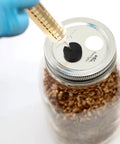 NORTH SPORE King Trumpet Mushroom Liquid Culture Syringe NORTH SPORE