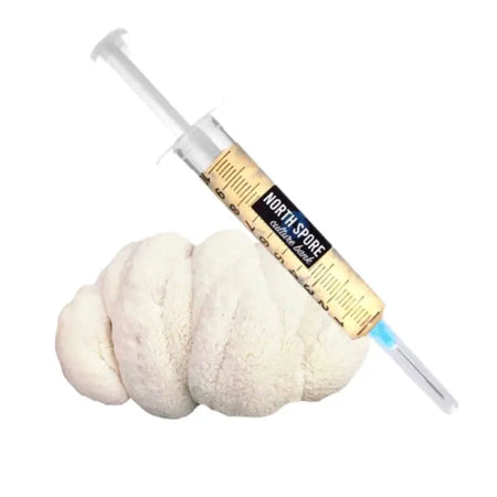 NORTH SPORE Lion's Mane Mushroom Liquid Culture Syringe NORTH SPORE