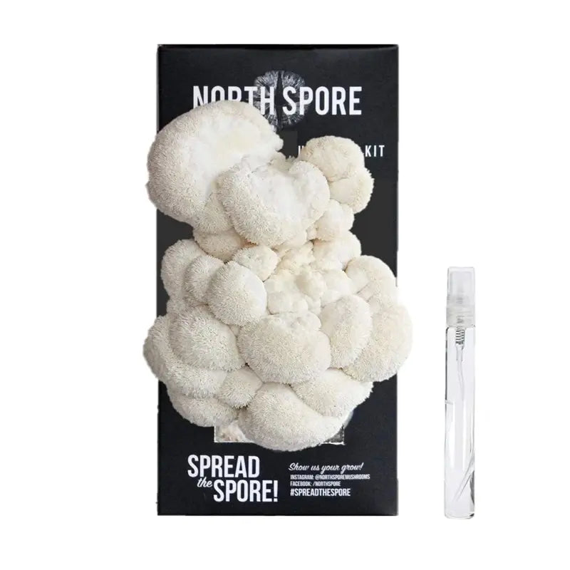 NORTH SPORE Lion's Mane ‘Spray & Grow’ Mushroom Growing Kit NORTH SPORE