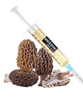 NORTH SPORE Morel Mushroom Liquid Culture Syringe NORTH SPORE