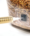 NORTH SPORE Morel Mushroom Liquid Culture Syringe NORTH SPORE