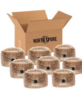 NORTH SPORE Organic Sterilized Grain Bag with Injection Port | 8-Pack NORTH SPORE