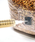 NORTH SPORE Organic Sterilized Grain Bag with Injection Port | 8-Pack NORTH SPORE