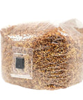 NORTH SPORE Organic Sterilized Grain Bag with Injection Port NORTH SPORE