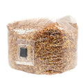 NORTH SPORE Organic Sterilized Grain Bag with Injection Port NORTH SPORE