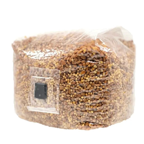 NORTH SPORE Organic Sterilized Grain Bag with Injection Port NORTH SPORE