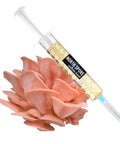 NORTH SPORE Pink Oyster Mushroom Liquid Culture Syringe NORTH SPORE