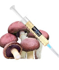 NORTH SPORE Wine Cap Mushroom Liquid Culture Syringe NORTH SPORE