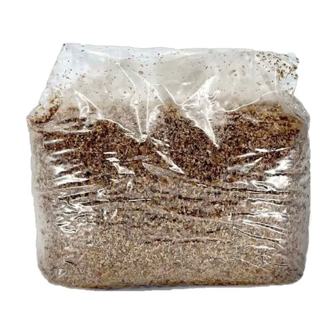 NORTH SPORE Wood Lovr Sterile Hardwood Mushroom Substrate | 8-Pack NORTH SPORE