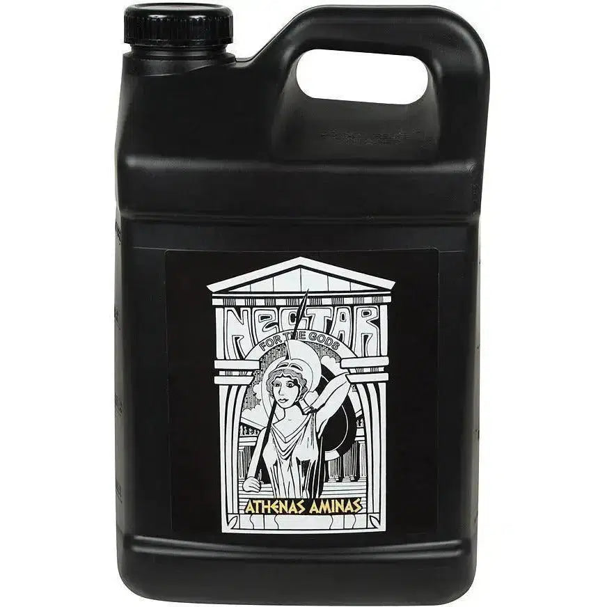 Nectar for the Gods Athena’s Aminas - Thumbnail 4