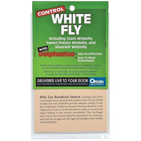 Orcon Delphastus Pusillus Pre-Paid Certificate, 25 Adults Orcon