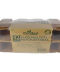 PlantBest Biodegradable Coconut Coir Pot Strip, 2.5" | Pack of 32 PlantBest