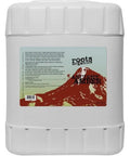 Roots Organics Ancient Amber, qt