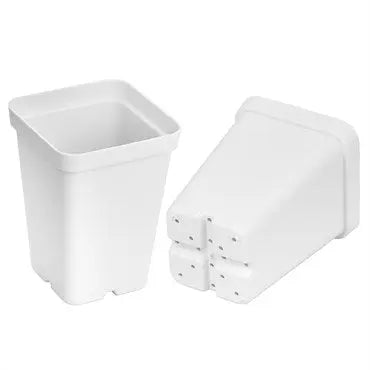 SUNPACK 2.5" Heavy Duty Seed Starter Square Pot | Assorted Colors