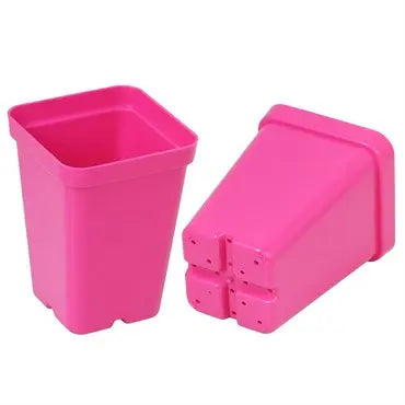 SUNPACK 2.5" Heavy Duty Seed Starter Square Pot | Assorted Colors