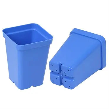SUNPACK 2.5" Heavy Duty Seed Starter Square Pot | Assorted Colors