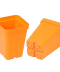 SUNPACK 2.5" Heavy Duty Seed Starter Square Pot | Assorted Colors