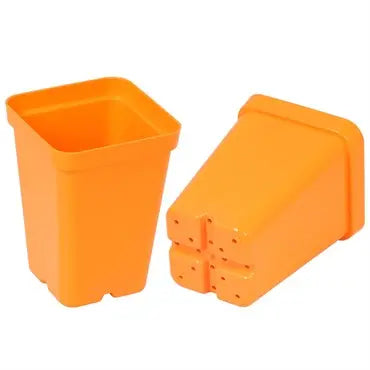 SUNPACK 2.5" Heavy Duty Seed Starter Square Pot | Assorted Colors