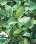 Seed Savers Exchange Arugula, Arugula (Organic) Seed Savers Exchange