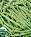 Seed Savers Exchange Bean, Empress (Organic) Seed Savers Exchange