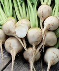 Seed Savers Exchange Beet, Albino Seed Savers Exchange