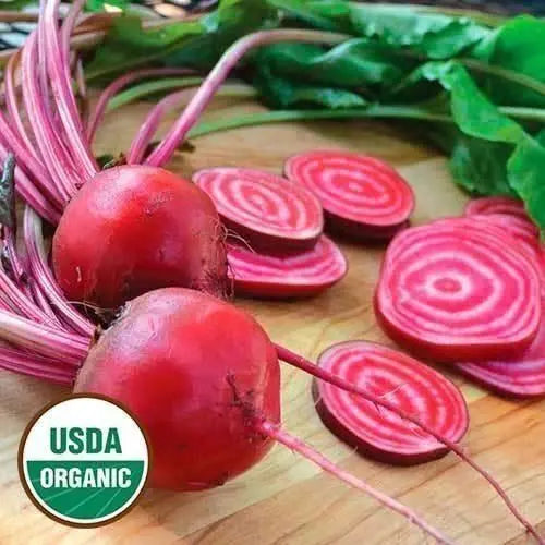 Seed Savers Exchange Beet, Chioggia (Organic) Seed Savers Exchange