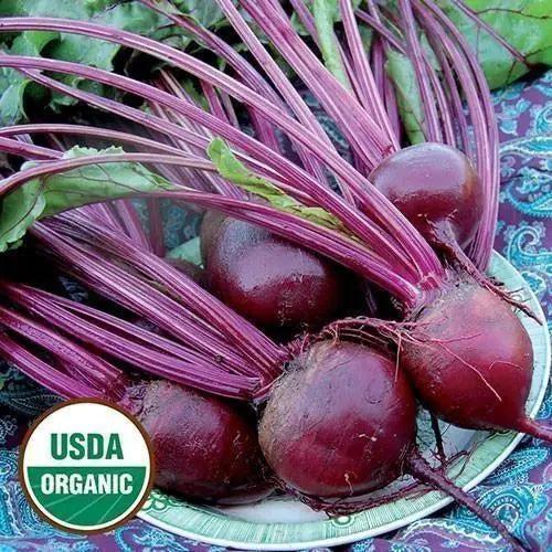 Seed Savers Exchange Beet, Detroit Dark Red (Organic) Seed Savers Exchange