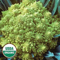 Seed Savers Exchange Cauliflower, Romanesco (Organic) Seed Savers Exchange