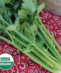 Seed Savers Exchange Celery, Tall Utah (Organic) Seed Savers Exchange