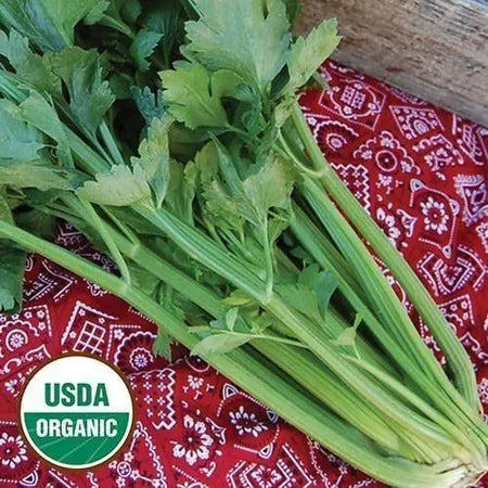 Seed Savers Exchange Celery, Tall Utah (Organic) Seed Savers Exchange